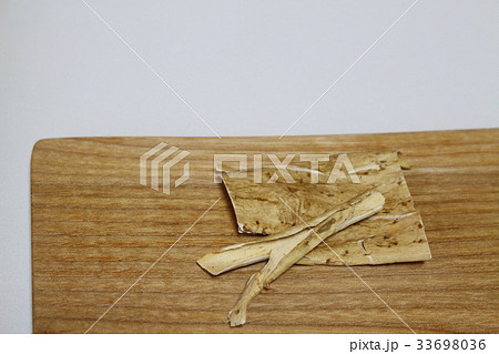 五加皮 五加皮 33698036