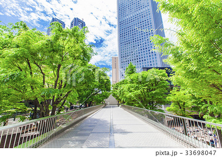 オフィス街の高層ビルと緑 33698047