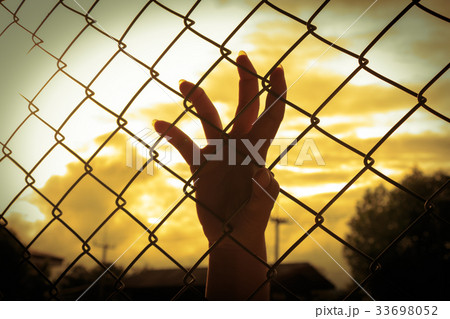 Human hands 33698052