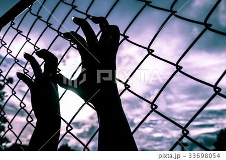 Human hands 33698054