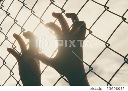 Human hands 33698055