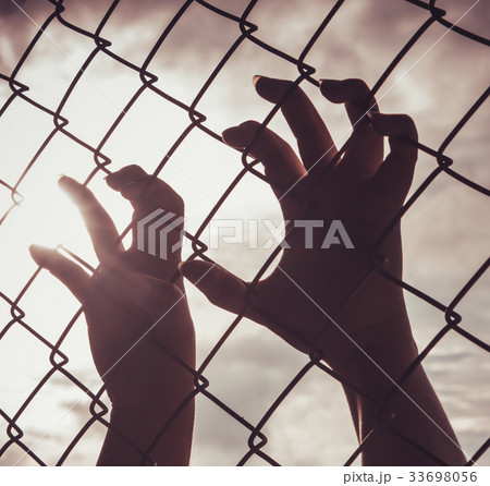 Human hands 33698056