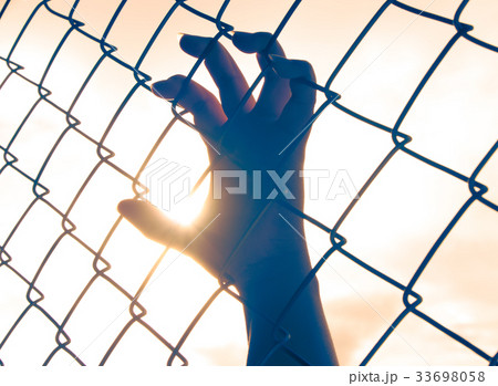 Human hands 33698058