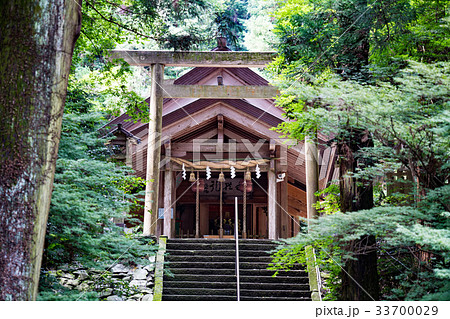伊野天照皇大神宮 33700029