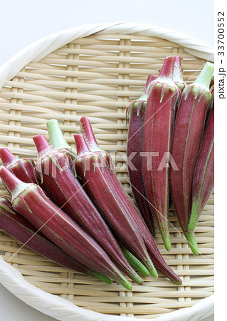 フレッシュな赤オクラ 33700552