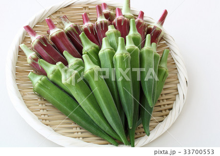 フレッシュな2色のオクラ 33700553