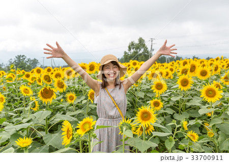 ひまわり畑と女性 33700911