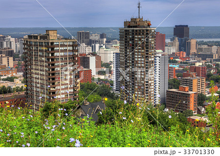 Hamilton, Canada skyline with wildflowers Hamilton, Canada skyline with wildflowers 33701330