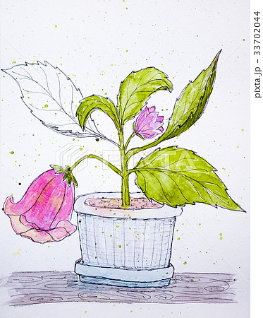 Botany watercolor illustration with flowers 33702044