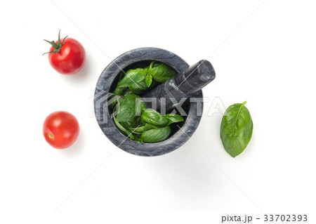 basil in mortar on white background 33702393