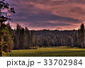 Sequoia Meadow 33702984