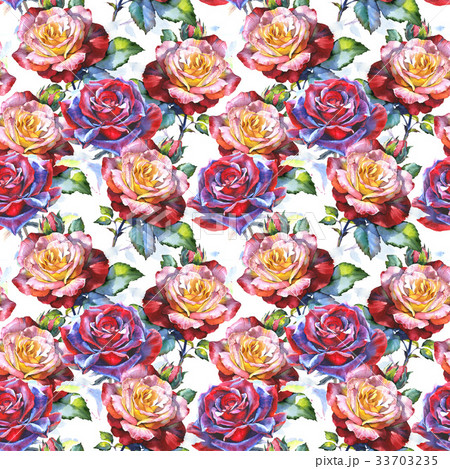 Wildflower rose flower pattern in a watercolor 33703235