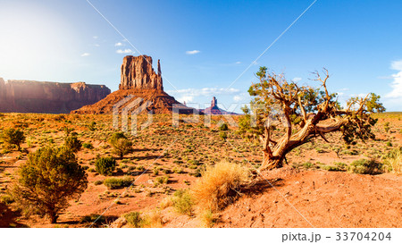 Monument Valley landscape with Mitten Butte red 33704204