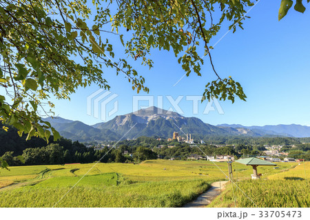 自然風景　武甲山と寺坂棚田　秩父 33705473