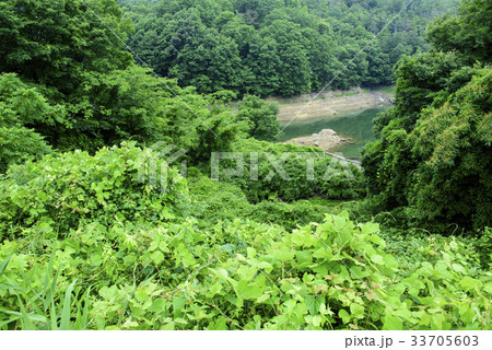 吞吐ダム (兵庫県三木市) 吞吐ダム (兵庫県三木市) 33705603