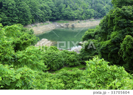吞吐ダム　緑の湖面（兵庫県三木市） 33705604