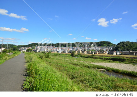 浅川の夏は　八王子市　 33706349