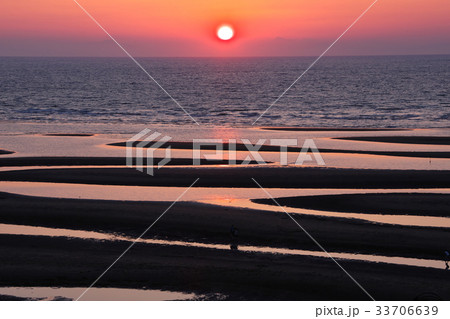夕陽の干潟 33706639