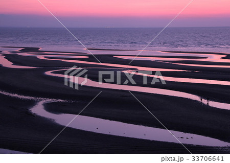 夕陽の干潟 33706641