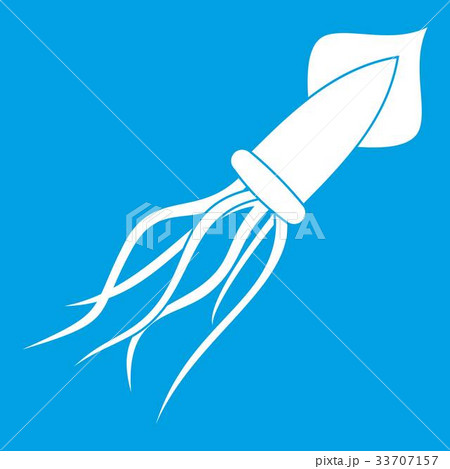 Squid icon white 33707157