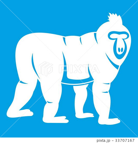 Mandrill monkey icon white Mandrill monkey icon white 33707167