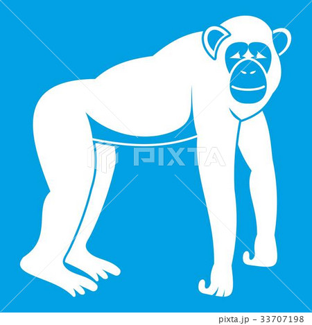 Chimpanzee icon white Chimpanzee icon white 33707198