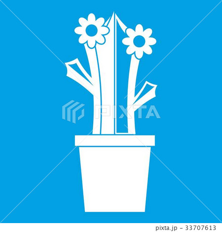Flowering cactus icon white Flowering cactus icon white 33707613