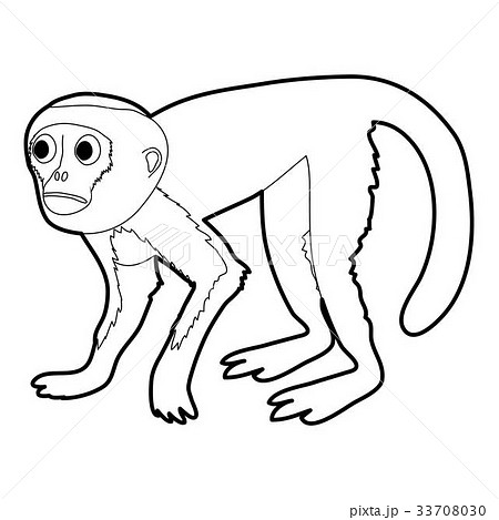 Capuchin icon outline 33708030