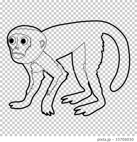 Capuchin icon outline 33708030