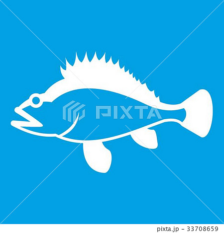 Rose fish, Sebastes norvegicus icon white Rose fish, Sebastes norvegicus icon white 33708659