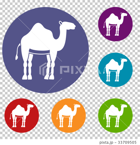 Camel icons set 33709505