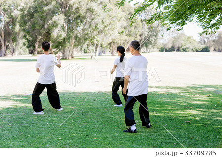 People practicing thai chi in park 33709785