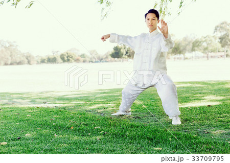 Handsome man practicing thai chi 33709795