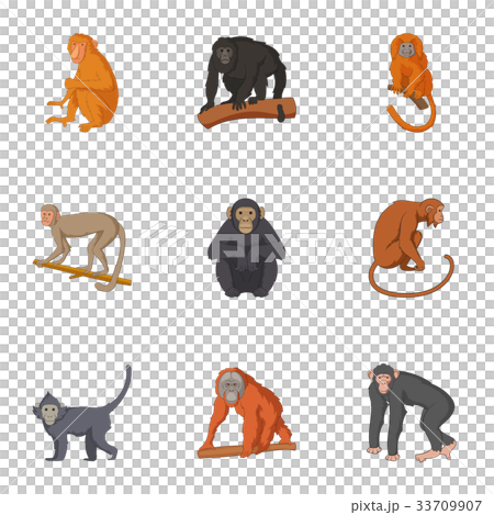 Species of chimpanzee icons set, cartoon style 33709907