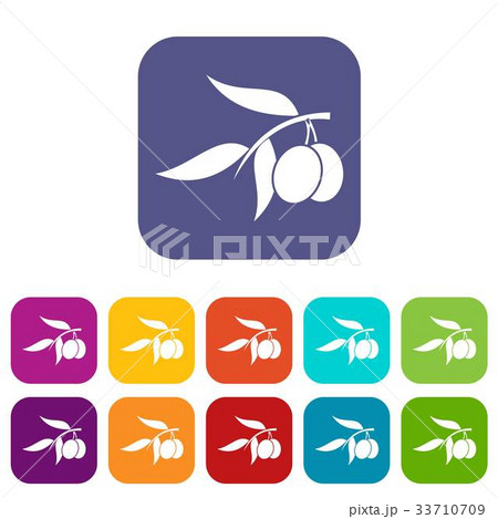 Olive tree branch with two olives icons set Olive tree branch with two olives icons set 33710709