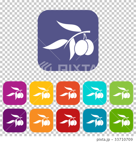 Olive tree branch with two olives icons set Olive tree branch with two olives icons set 33710709