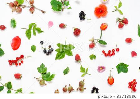 summer concept 33713986