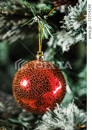 Christmas tree Christmas tree 33714198