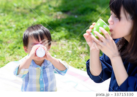 楽しいピクニックのランチ　お茶を飲む 33715330