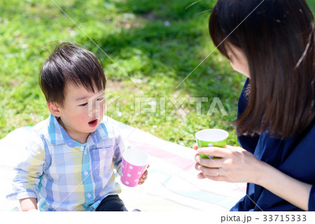 楽しいピクニックのランチ　お茶を飲む 33715333