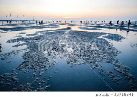 sunset of Gaomei wetlands in Taichung, Taiwan. sunset of Gaomei wetlands in Taichung, Taiwan. 33716841