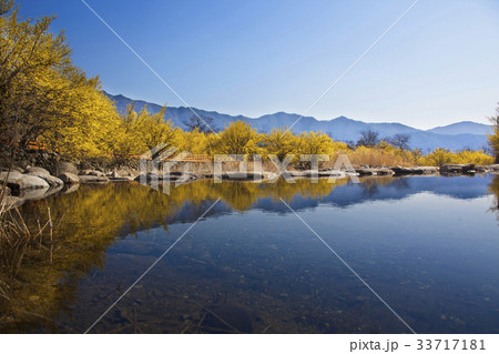 山東省 サンシュユ 全羅南道 33717181