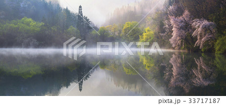 反射 反影 セリャンか 33717187