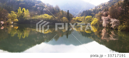 反射 反影 セリャンか 33717191