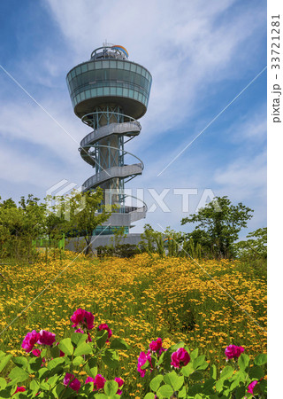 京畿道 キョンギド オウムも 33721281