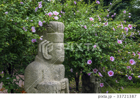 ムクゲ ムンインソク ひときれ 33721387