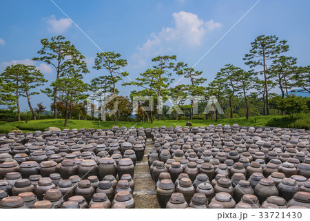 京畿道 キョンギド ソイル農園 33721430