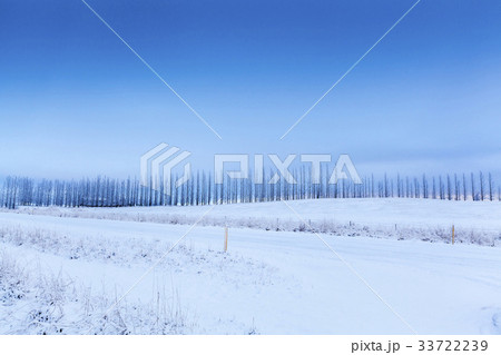 木 雪景色 アイス 33722239