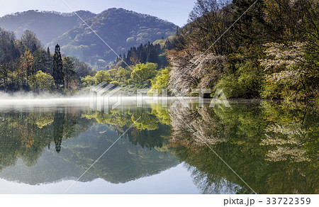 春 セリャンか 全羅南道 33722359