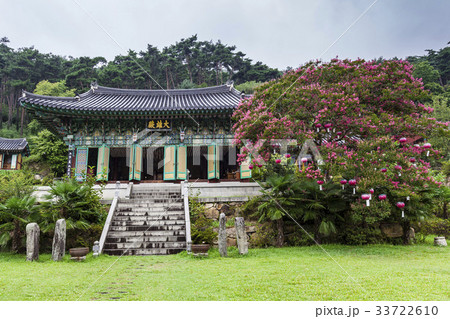 大雄殿 蔓延社 ベロン木 33722610